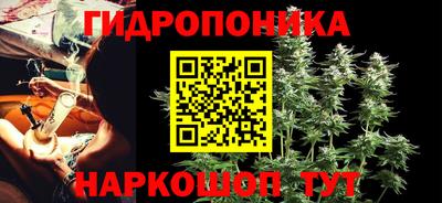 стафф Вязьма