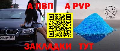 стафф Вязьма