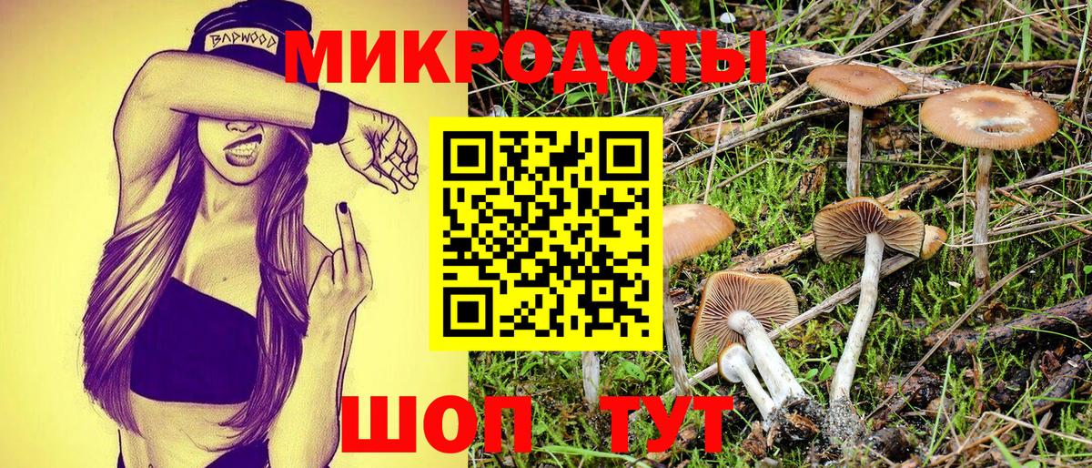 Галлюциногенные грибы Psilocybe Калуга
