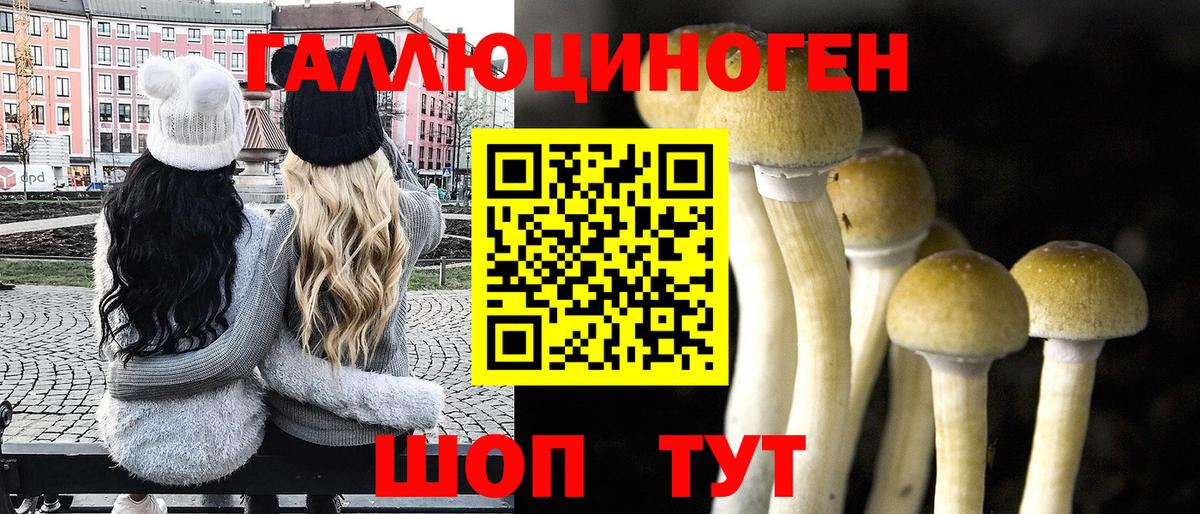 Галлюциногенные грибы прущие грибы  Вход с VPN  Калуга  Галлюциногенные грибы прущие грибы 